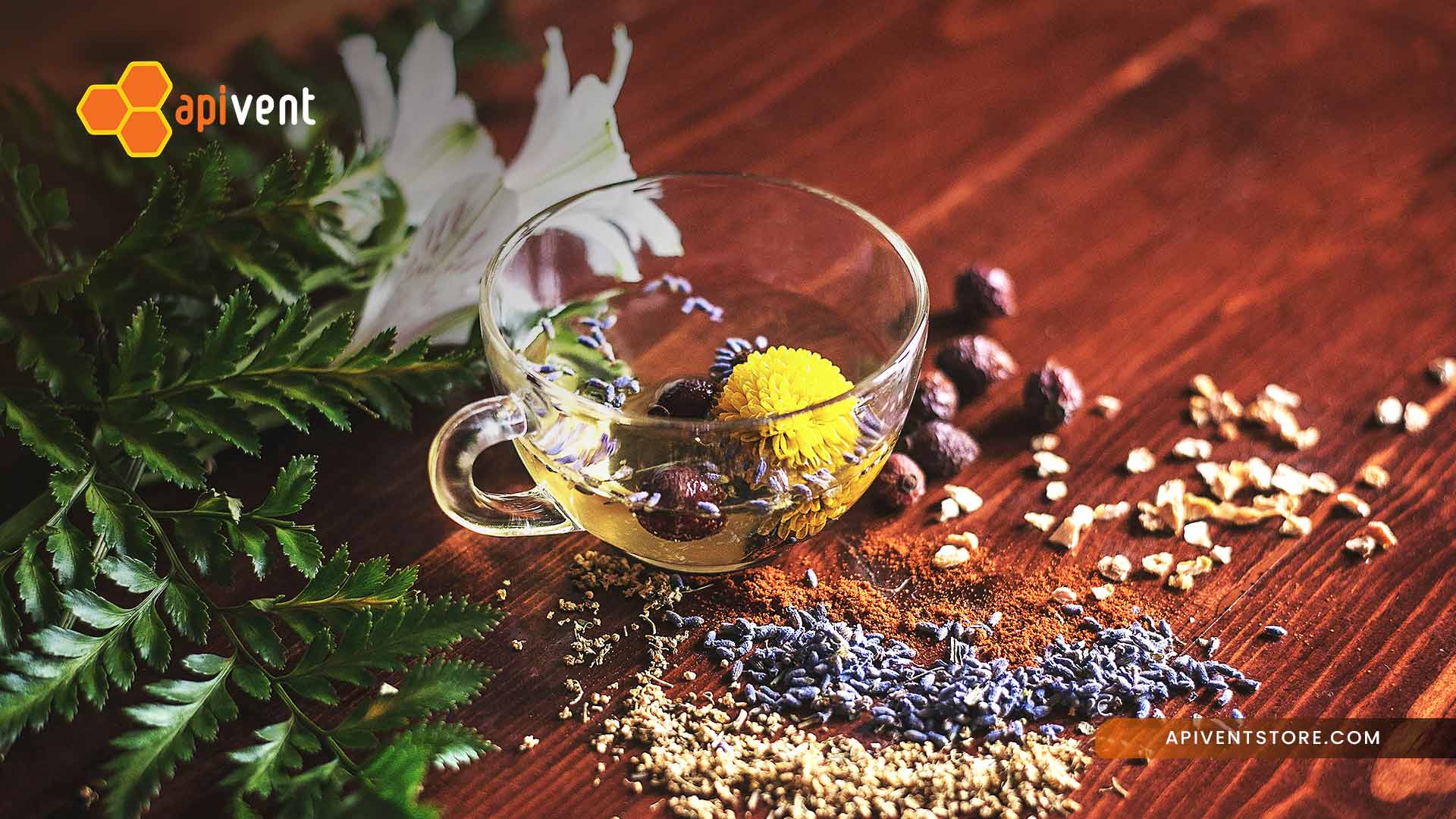 Obat Herbal Terstandar